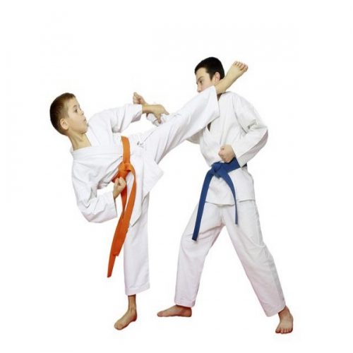 Trong võ karate có mấy đai? Các màu đai của karate