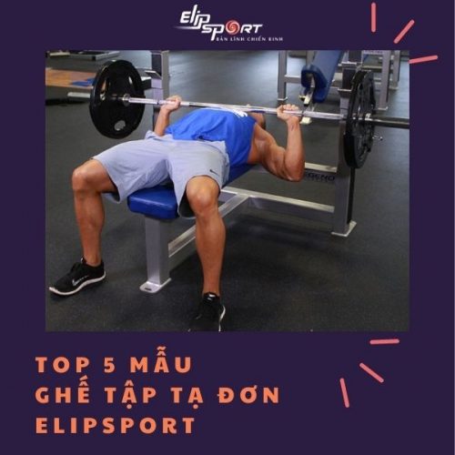 Các loại ghế tập tạ đơn, đẩy tạ đơn giá rẻ tại Elipsport