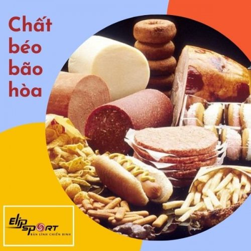 Chất béo bão hòa và chất béo không bão hòa là gì?