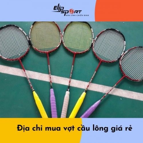 Địa chỉ mua vợt cầu lông giá rẻ tại Tp. Hồ Chí Minh