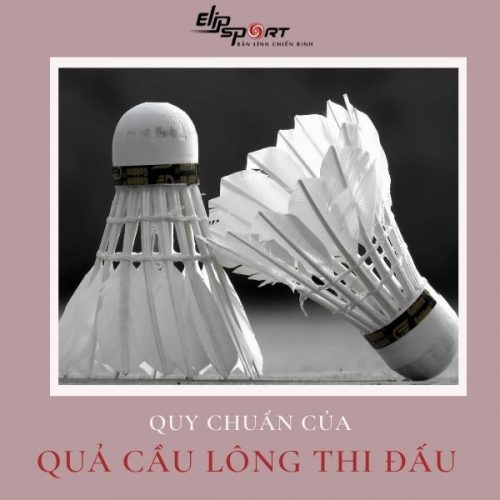 Quy Chuẩn Của Quả Cầu Lông Đạt Tiêu Chuẩn Thi Đấu