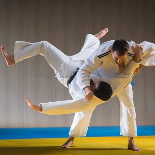 Judo là gì? Luật chơi trong võ Judo chuẩn xác nhất