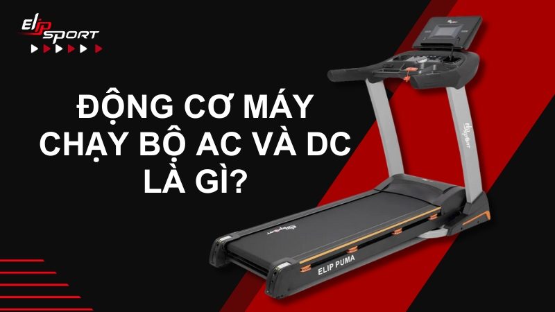 Động cơ trên máy chạy bộ AC và DC là gì? Sự khác biệt và nên mua loại nào?