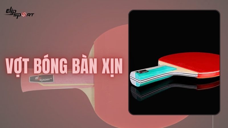 Bí quyết chọn vợt bóng bàn xịn phù hợp với mọi đối tượng