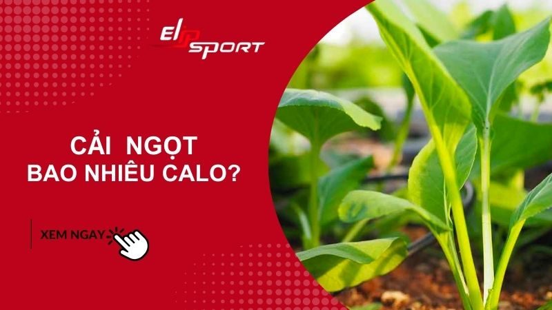 100g cải ngọt bao nhiêu calo? Ăn có giảm cân không? Lưu ý khi ăn