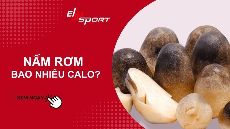 100g nấm rơm bao nhiêu calo? Ăn có béo không? Cách ăn nấm rơm giảm cân