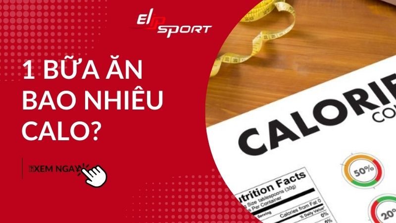 1 bữa ăn bao nhiêu calo? Cách tính calo giúp giảm cân hiệu quả nhất