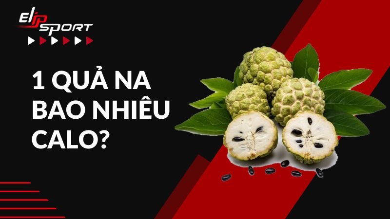  1 quả na bao nhiêu calo? Ăn na có béo không? Lợi ích khi ăn na là gì?