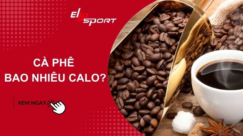 Cà phê bao nhiêu calo? Uống cà phê có béo không? Lưu ý khi uống