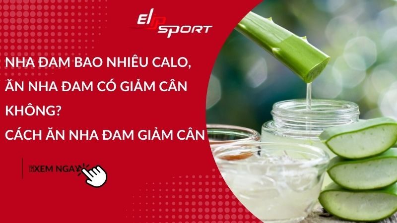 Nha đam bao nhiêu calo, ăn nha đam có giảm cân không? Cách ăn nha đam giảm cân