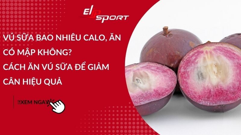 Vú sữa bao nhiêu calo, ăn có mập không? Cách ăn vú sữa để giảm cân hiệu quả