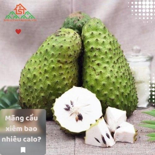 Mãng cầu xiêm bao nhiêu calo? Ăn mãng cầu xiêm có mập không?