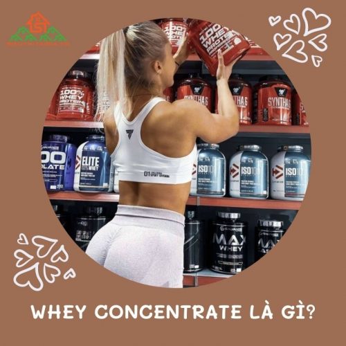 Whey concentrate là gì? Tác dụng thế nào và ai nên sử dụng?