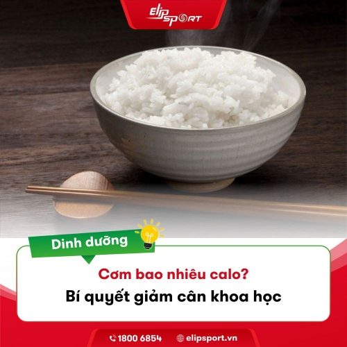 1 Chén Cơm Bao Nhiêu Calo? Nên Ăn Bao Nhiêu?