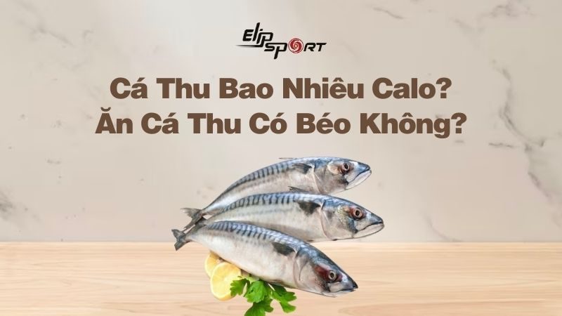 Cá Thu Bao Nhiêu Calo? Ăn Cá Thu Có Béo Không? Giảm Cân Được Không?