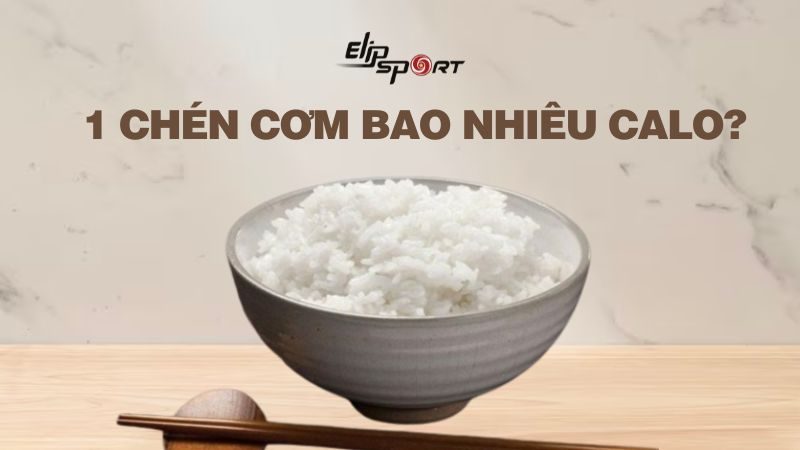 1 chén cơm bao nhiêu calo? Ăn có béo không? Cách ăn hỗ trợ giảm cân