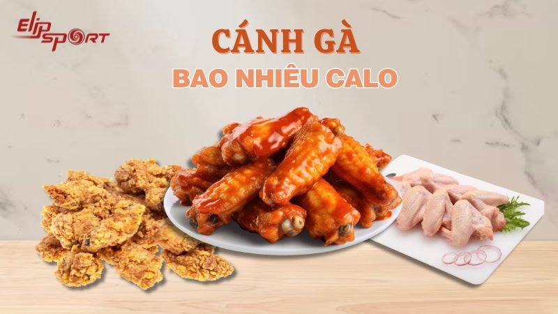 Cánh gà bao nhiêu calo? Cách chế biến và chọn mua cánh gà ngon