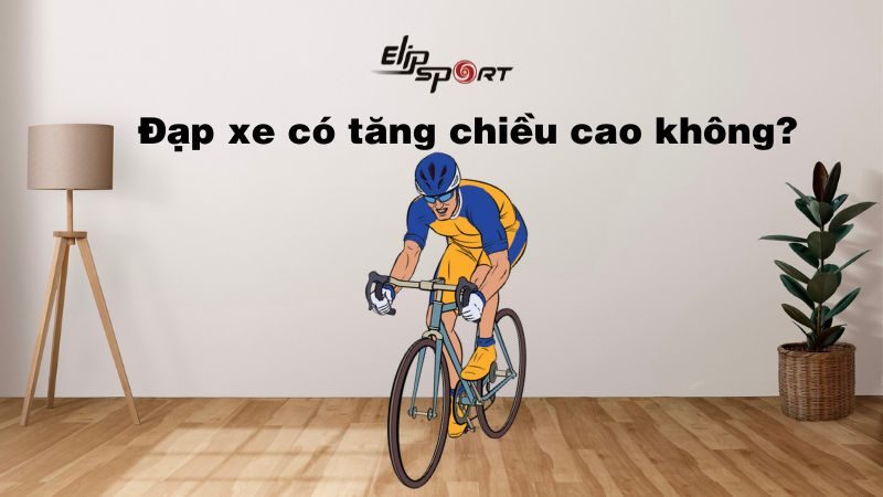 Đạp xe đạp có tăng chiều cao không? Hướng dẫn đạp xe đúng kỹ thuật