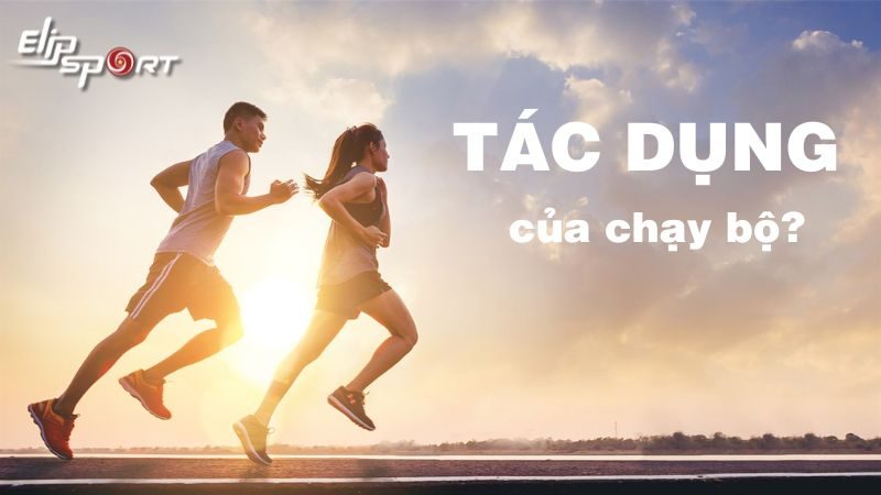 Tác dụng của chạy bộ và những lợi ích của việc chạy bộ mỗi ngày