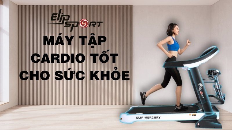 10 loại máy tập cardio tốt cho sức khỏe và hỗ trợ giảm cân