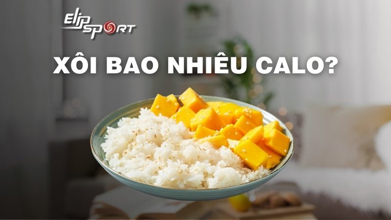 Xôi bao nhiêu calo? Ăn xôi có mập không?