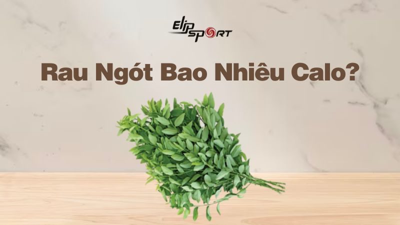 Rau ngót bao nhiêu calo? Công dụng và lưu ý khi ăn rau ngót giảm cân