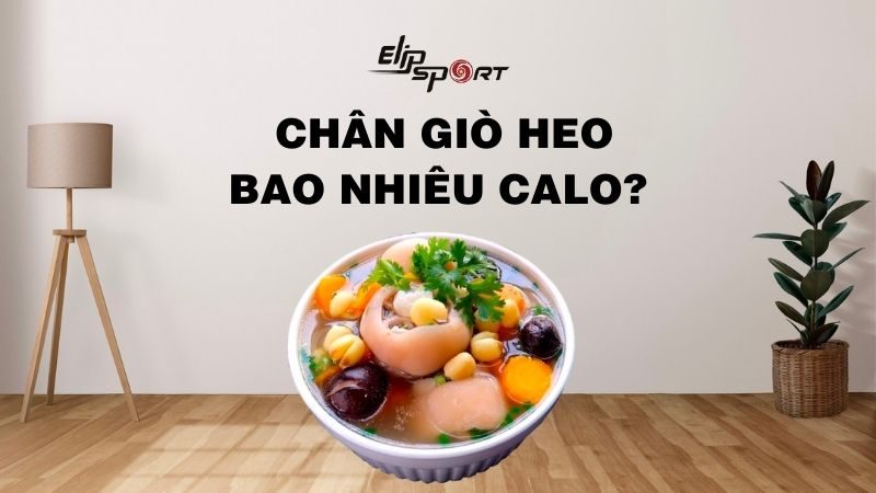 Chân giò heo bao nhiêu calo? Ăn chân giò heo có béo không?