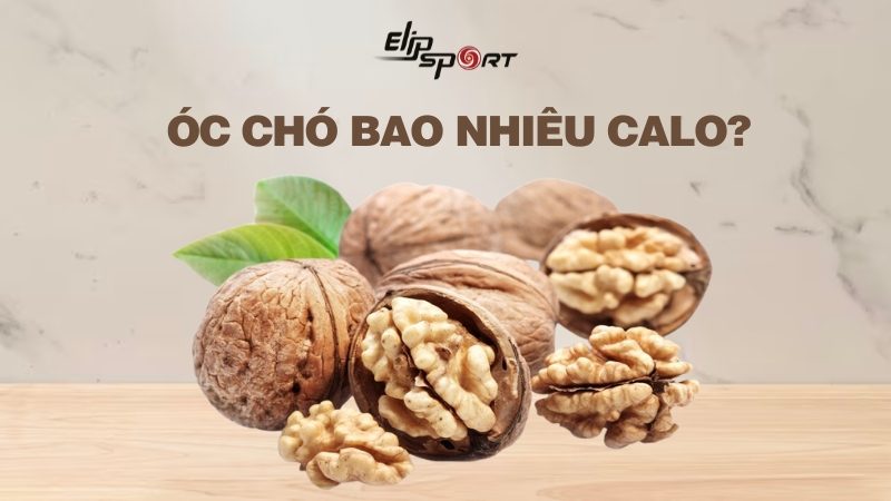 100g óc chó bao nhiêu calo? Ăn nhiều có béo không? Lưu ý cần biết