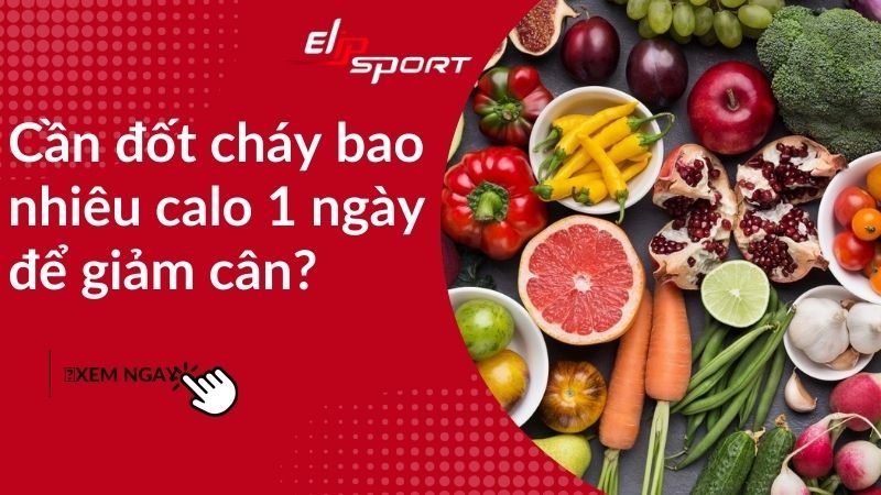 Cần đốt cháy bao nhiêu calo 1 ngày để giảm cân? Cách giảm cân hiệu quả