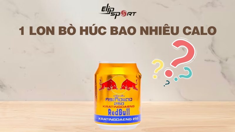 1 Lon Bò Húc Bao Nhiêu Calo? Những Cảnh Báo Về Tác Hại Của Bò Húc