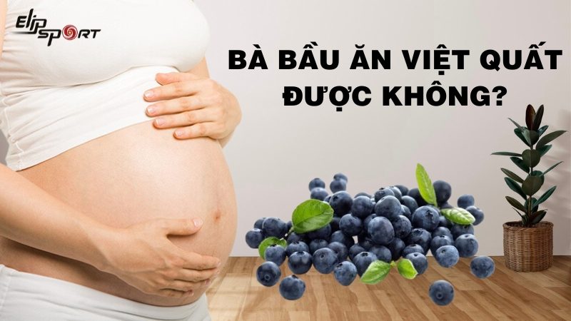 Bà bầu ăn việt quất có tốt không? Tác dụng của việt quất với thai nhi