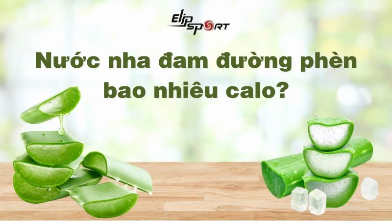 Nước nha đam đường phèn bao nhiêu calo? Có gây béo không?