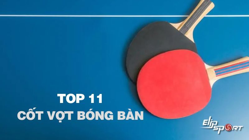 Top 11 cốt vợt bóng bàn tốt nhất hiện nay cho các VĐV