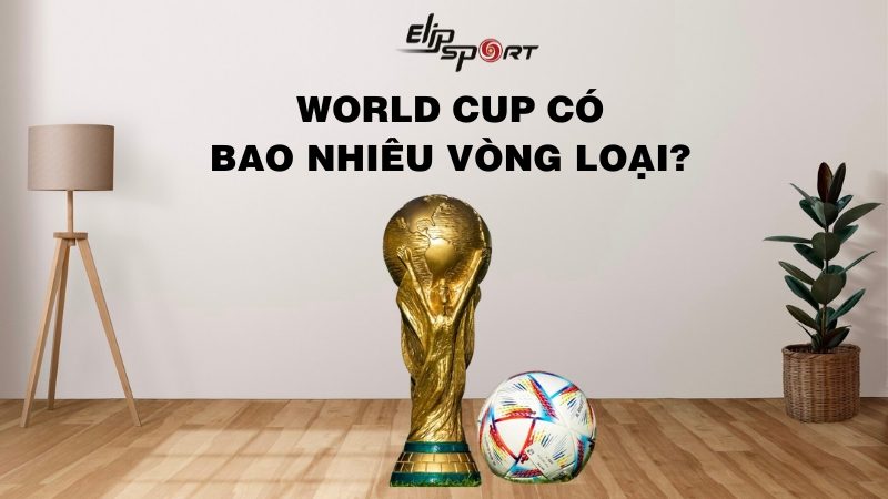 World Cup có bao nhiêu vòng loại và mấy bảng đấu? 