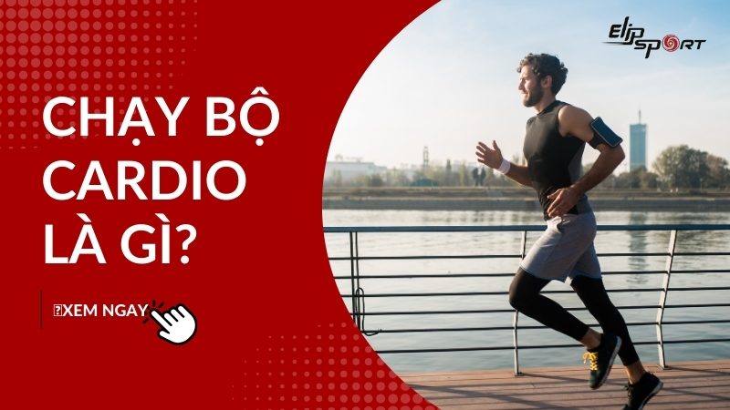 Chạy bộ cardio là gì? Tác dụng khi chạy Cardio và lưu ý khi chạy