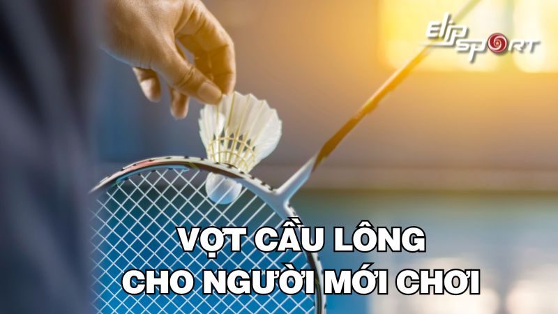 Cách chọn vợt cầu lông cho người mới chơi và top 15+ vợt tốt nhất