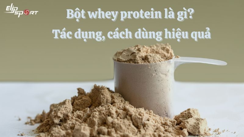 Bột whey protein là gì? Tác dụng đối với cơ, cách dùng hiệu quả