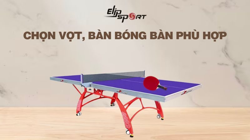 Chọn vợt, bàn bóng bàn phù hợp tại Bắc Ninh, TP. Bắc Giang