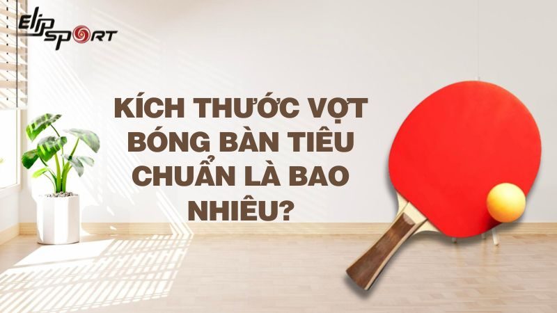 Kích thước vợt bóng bàn tiêu chuẩn là bao nhiêu? Mẹo chọn vợt bóng bàn