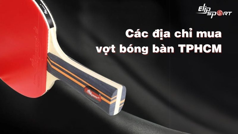 Mách bạn các địa chỉ mua vợt bóng bàn TPHCM chính hãng