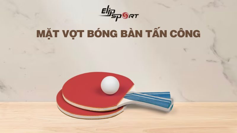 Các mặt vợt bóng bàn tấn công tốt nhất trên thị trường và tiêu chí chọn mua