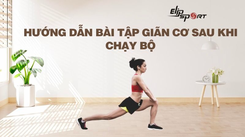 Hướng dẫn bài tập giãn cơ sau khi chạy bộ giúp phục hồi cơ bắp nhanh