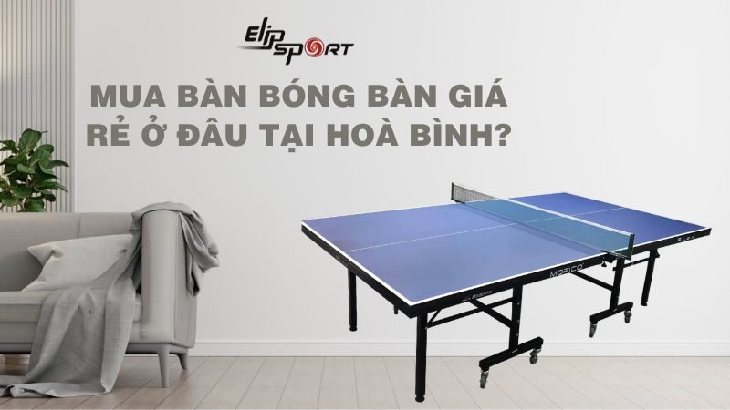 Mua bàn bóng bàn giá rẻ ở đâu tại Hoà Bình?