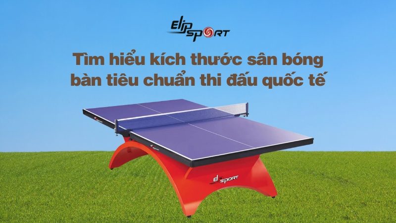 Tìm hiểu kích thước sân bóng bàn tiêu chuẩn thi đấu quốc tế