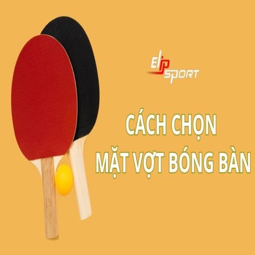 Cách chọn mặt vợt bóng bàn cho mọi trình độ, lối chơi