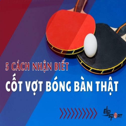 5 cách nhận biết cốt vợt bóng bàn thật đơn giản nhất