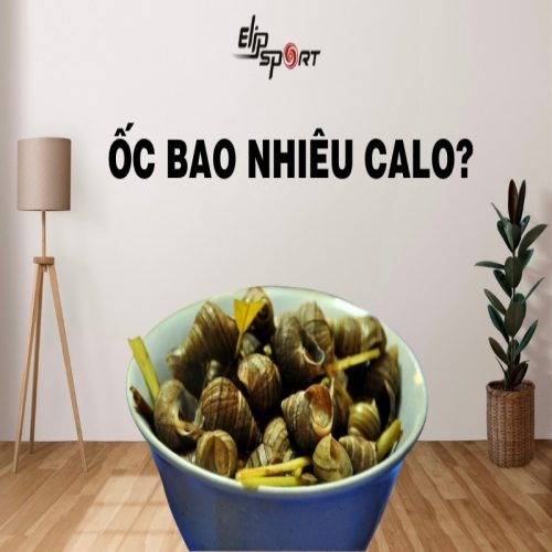 Ốc bao nhiêu calo? Ăn ốc có béo không? Ốc không nên ăn cùng với gì?