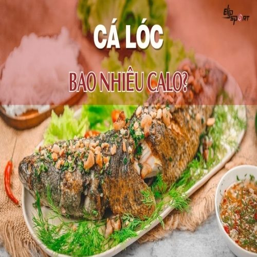 Cá lóc bao nhiêu calo? Ăn cá lóc có tác dụng gì?