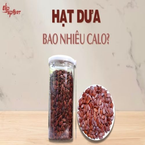 Hạt dưa bao nhiêu calo? Ăn hạt dưa có béo không?