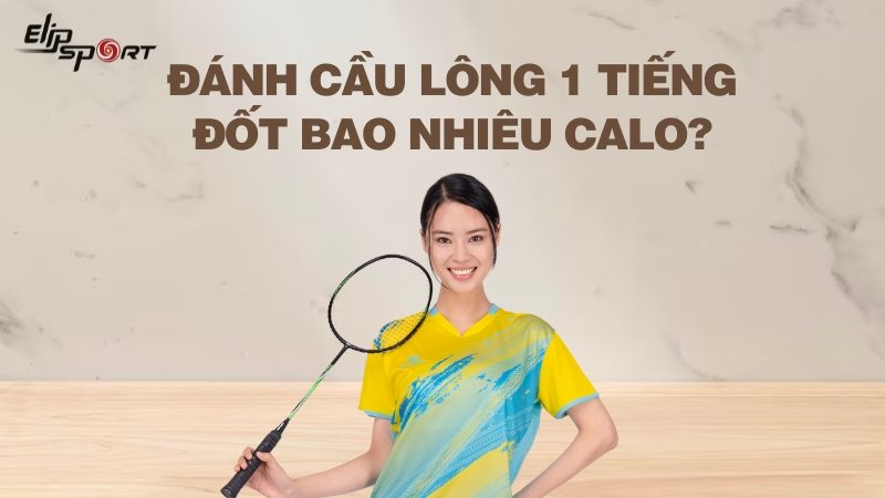 Đánh cầu lông 1 tiếng đốt bao nhiêu calo? Lợi ích của đánh cầu lông